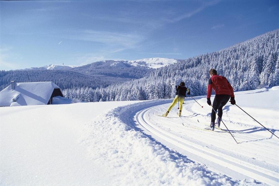 Urlaub Auf 1.000 Meter Hoehe Mit Pool Und Sauna Schönwalde Exterior foto