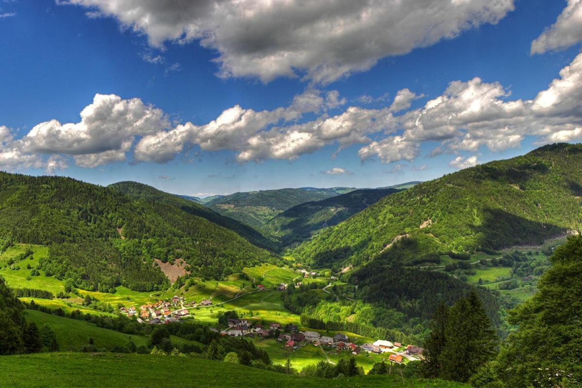Urlaub Auf 1.000 Meter Hoehe Mit Pool Und Sauna Schönwalde Exterior foto
